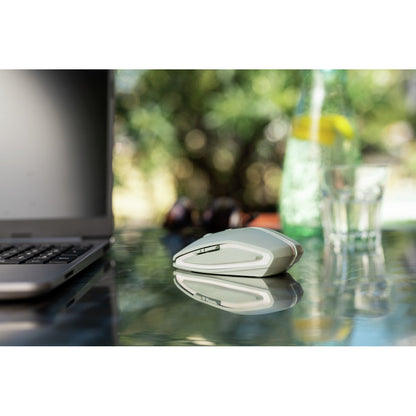 32d4fce8414c7db0b314b873953421e6